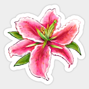 Lily Lili Lilly flower blossom petals of Lillies single pink Lily Sticker